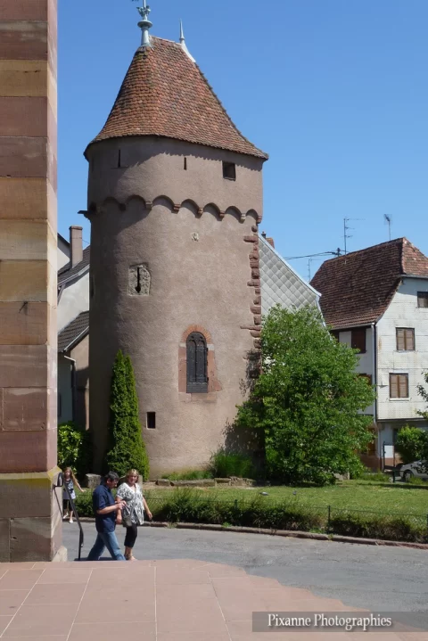 Alsace Route des Vins, Obernai, Tour Freppel, Alsace et Moi, Pixanne Photographies
