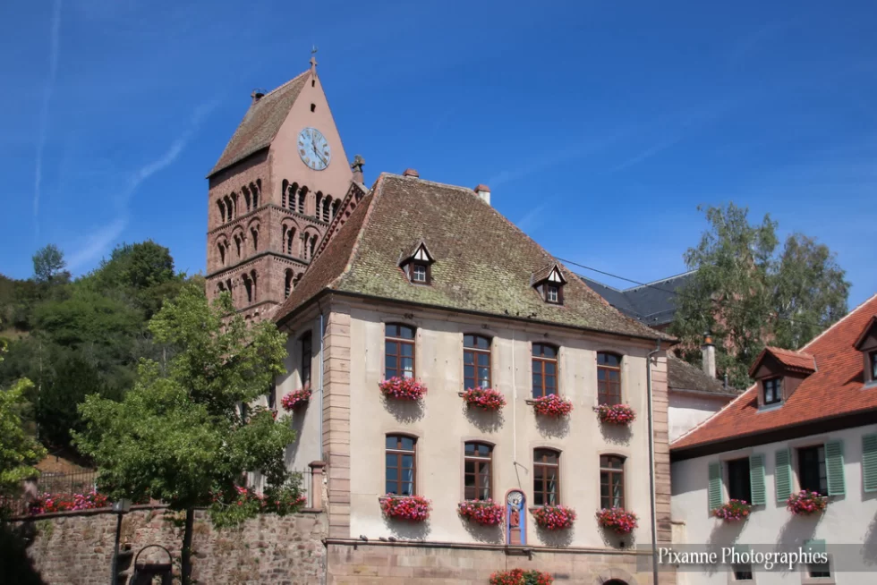 France, Alsace, Gueberschwihr, Alsace et Moi, Pixanne Photographies