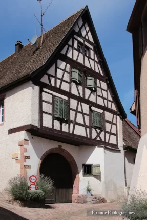 France, Alsace, Gueberschwihr, Alsace et Moi, Pixanne Photographies
