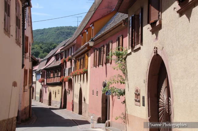 France, Alsace, Gueberschwihr, Alsace et Moi, Pixanne Photographies