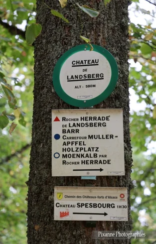 France, Alsace, Kiosque Javelot, Château du Landsberg, Alsace et Moi, Pixanne Photographies