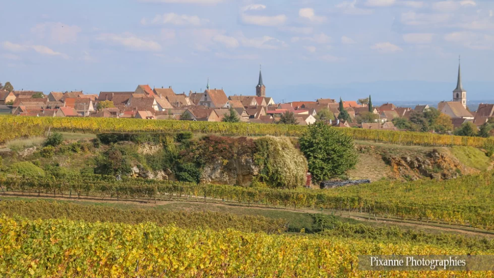 France, Alsace, Route des Vins, Mittelbergheim, Sentier des Espiègles, Alsace et Moi, Pixanne Photographies
