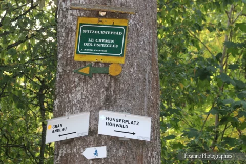 France, Alsace, Mittelbergheim, Chemin des Espiègles, Col du Crax, Alsace et Moi, Pixanne Photographies