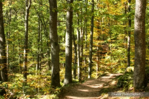 France, Alsace, Route des Vins, Mittelbergheim, Sentier des Espiègles, Alsace et Moi, Pixanne Photographies