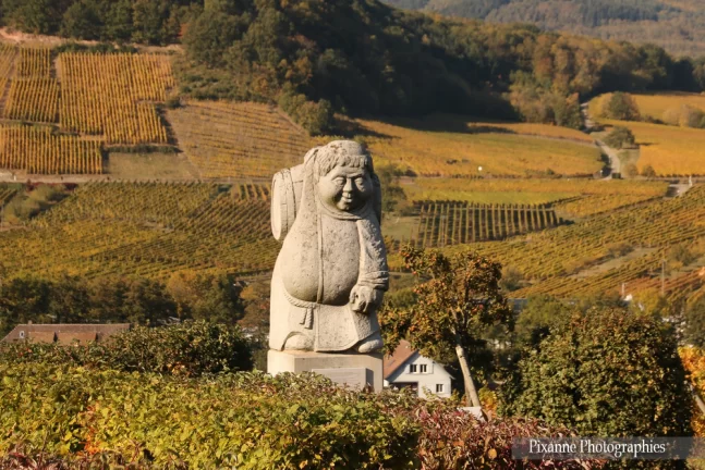 France, Alsace, Route des Vins, Andlau, Vignes, Alsace et Moi, Pixanne Photographies