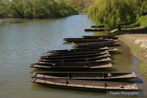 France, Alsace Munchhausen, Delta de la Sauer, Barque à fond plat, Pixanne Photographies, Alsace et Moi