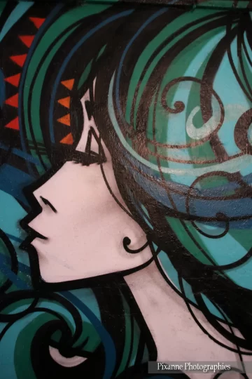 alsace, neuf brisach, mausa, street art, inkie, alsace et moi, pixanne photographies