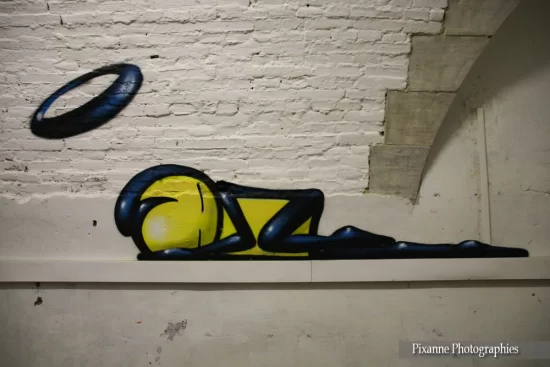 alsace, neuf brisach, mausa, street art, Wark da Rocinha, alsace et moi, pixanne photographies