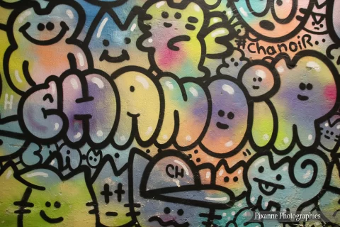 alsace, neuf brisach, mausa, street art, chanoir, alsace et moi, pixanne photographies