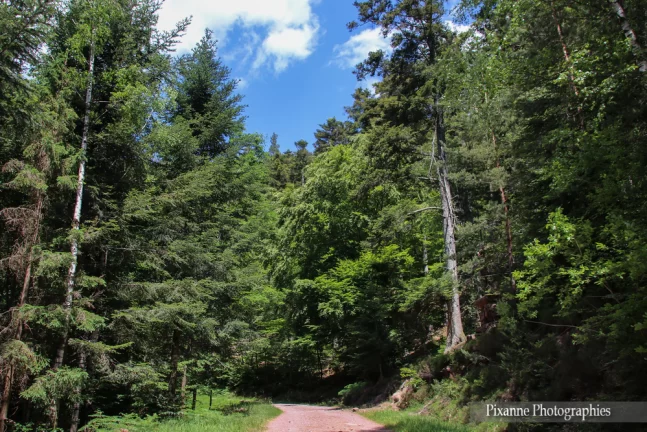 France, Alsace, Oberhaslach, Sentier des Géants du Nideck, Alsace et Moi, Pixanne Photographies