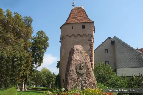 alsace, obernai, tour d'enceinte, alsace et moi, pixanne photographies