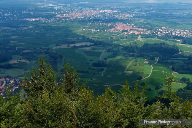 alsace, ottrott, mont sainte odile, chemin de croix, alsace et moi, pixanne photographies