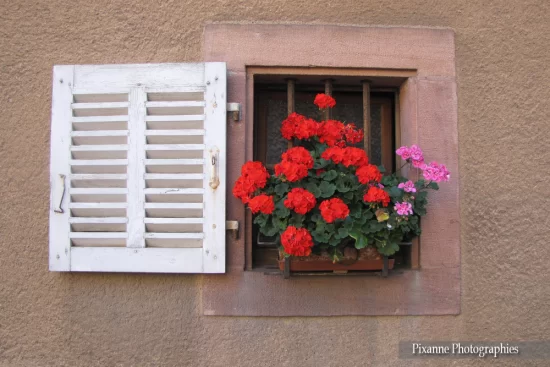 Alsace, Route des vins, Ribeauvillé, Maison Alsacienne, Colombages, Alsace et Moi, Pixanne Photoraphies