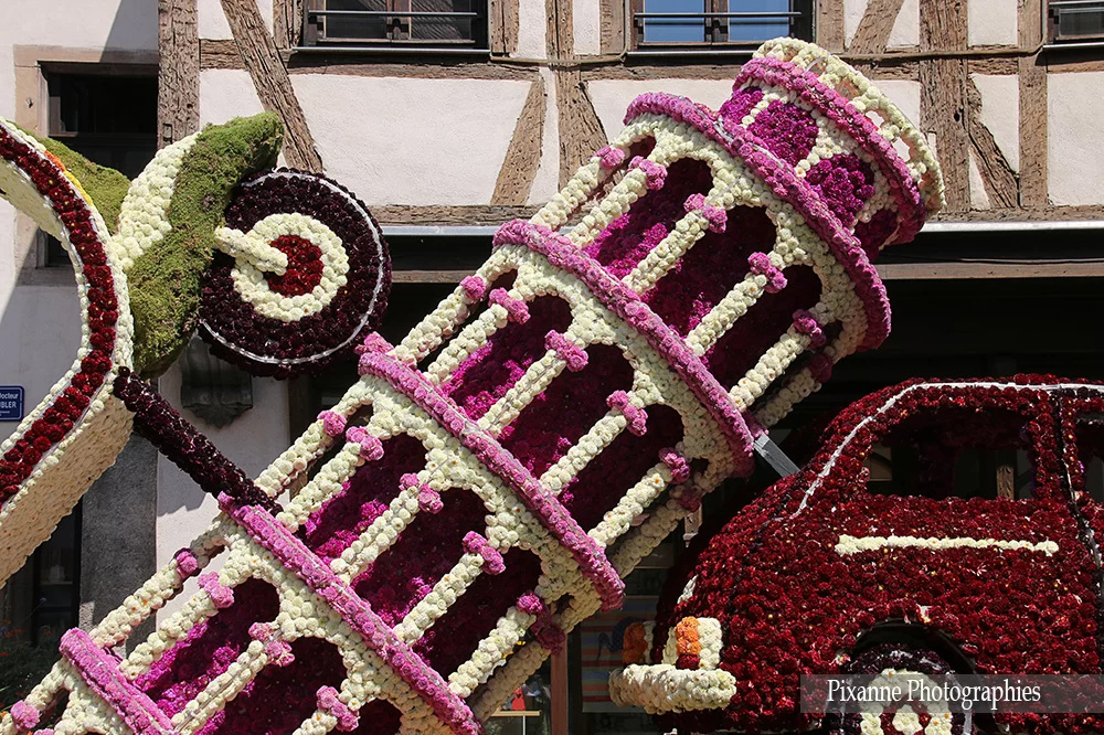 France, Alsace, Sélestat, Corso Fleuri, Dahlias, Alsace et Moi, Pixanne Photographies