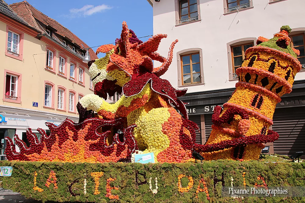 France, Alsace, Sélestat, Corso Fleuri, Dahlias, Alsace et Moi, Pixanne Photographies