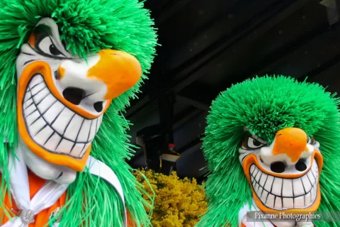 Suisse, Bâle, Carnaval de Bâle, Alsace et Moi, Pixanne Photographies