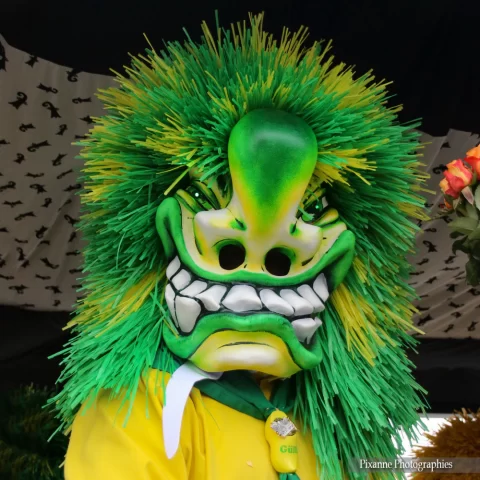 Suisse, Bâle, Carnaval de Bâle, Alsace et Moi, Pixanne Photographies