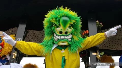 Suisse, Bâle, Carnaval de Bâle, Alsace et Moi, Pixanne Photographies