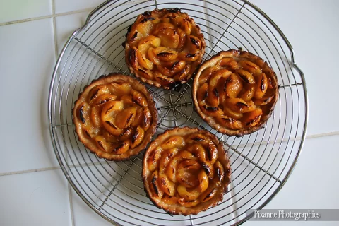 France, Alsace, Recettes Alsaciennes, Tarte Aux Mirabelles, Alsace et Moi, Pixanne Photographies