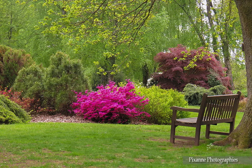 Vosges, Ban de Sapt, Jardins de Callunes, Alsace et Moi, Pixanne Photographies