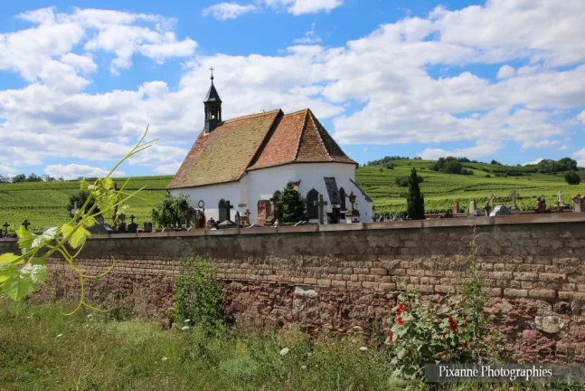 France, Alsace, Route des Vins, Wolxheim, Vignes, Alsace et Moi, Pixanne Photographies