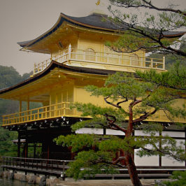 Asie, Japon, Kyoto, Kinkaku Ji, Pavillon d'Or, Souvenirs de Voyages, Pixanne Photogrpahies