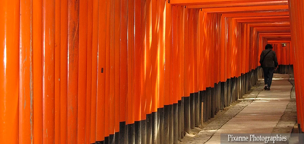 Asie, Japon, Kyoto, Fushimi Inari, Torii, Souvenirs de Voyages, Pixanne Photographies