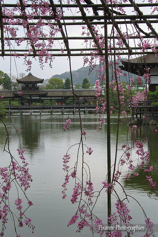 Asie, Japon, Kyoto, Heian Shrine, Heian Jingu Shrine, Jardin Est, Higashi Shin'en, Souvenirs de Voyages, Pixanne Photographies