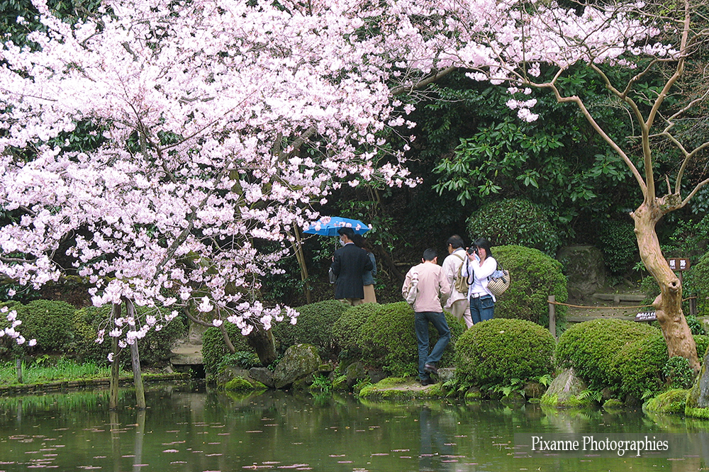 Japon Kyoto Heian Shrine Jardin Occidental Nishi Shin en Pixanne Photographies