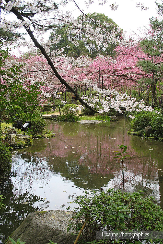 Japon Kyoto Heian Shrine Jardin Sud Minami Shin en Pixanne Photographies