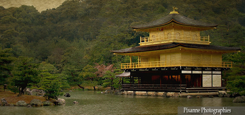 Asie, Japon, Kyoto, Kinkaku Ji, Pavillon d'Or, Souvenirs de Voyages, Pixanne Photographies