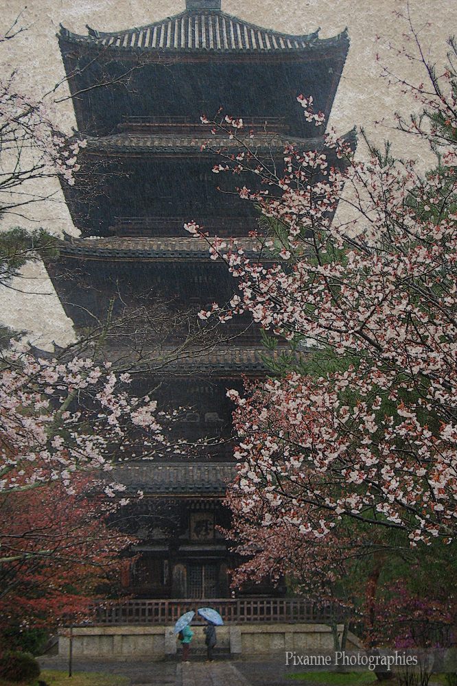 Japon Kyoto Nina Ji Pagode Bouddhisme Pixanne Photographies