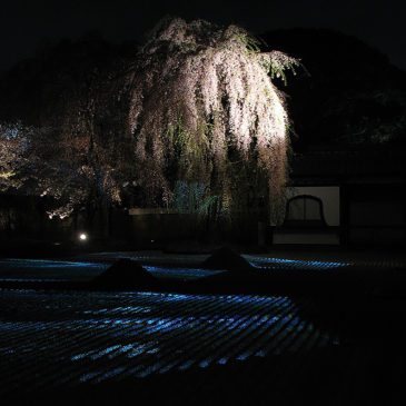 Kodai Ji et Maruyama (de nuit) * Kyoto