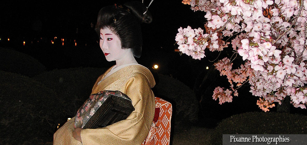 Asie, Japon, Kyoto, Nijo Jo, Geisha, Souvenirs de Voyages, Pixanne Photographies