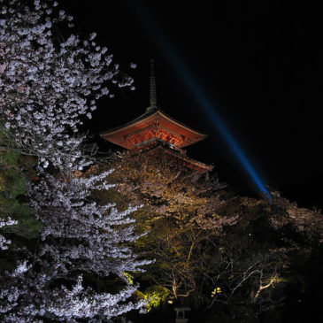 Kiyomizu Dera (de nuit) * Temple de l’eau pure