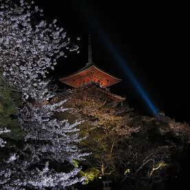 Asie, Japon, Kyoto, Kiomizu Dera, Souvenirs de Voyages, Pixanne Photographies
