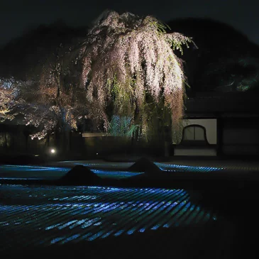 Kodai Ji et Maruyama (de nuit) * Kyoto