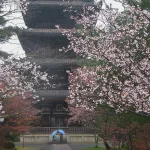 Asie, Japon, Kyoto, Ninna Ji, Souvenirs de Voyages, Pixanne Photographies