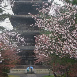 Asie, Japon, Kyoto, Ninna Ji, Souvenirs de Voyages, Pixanne Photographies