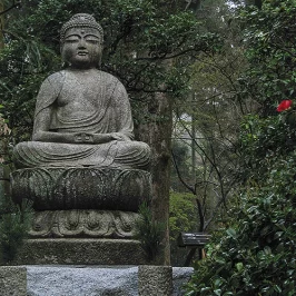 Asie, Japon, Kyoto, Ryoan Ji, Souvenirs de Voyages, Pixanne Photographies