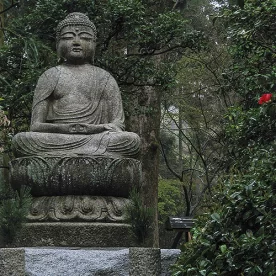 Asie, Japon, Kyoto, Ryoan Ji, Souvenirs de Voyages, Pixanne Photographies