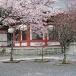 Asie, Japon, Mont Kurama, Kurama Dera, Souvenirs de Voyages, Pixanne Photographies