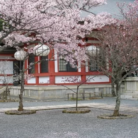Asie, Japon, Mont Kurama, Kurama Dera, Souvenirs de Voyages, Pixanne Photographies