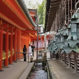 Asie, Japon, Nara, Kasuga Taisha, Lanternes, Souvenirs de Voyages, Pixanne Photographies