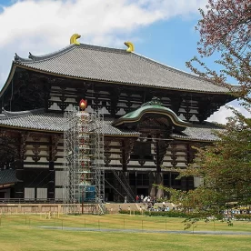 Asie, Japon, Nara, Todai Ji, Souvenirs de Voyages, Pixanne Photographies