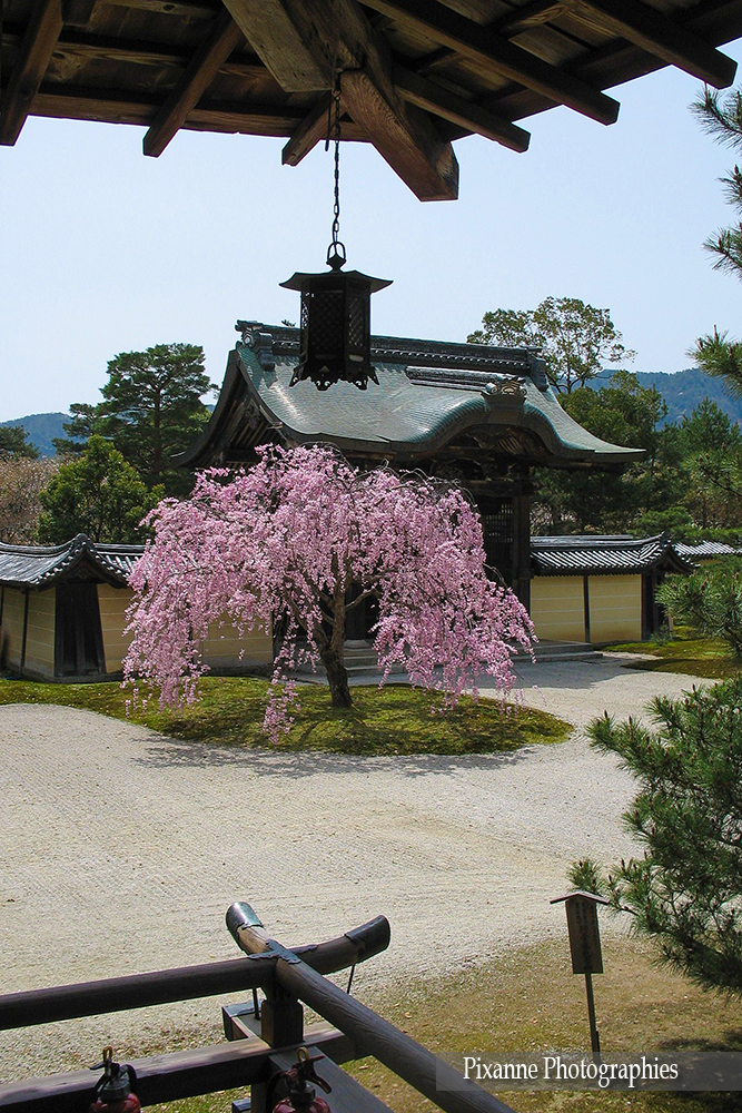 asie, japon, arashiyama, daikakuji, souvenirs de voyages, pixanne photographies