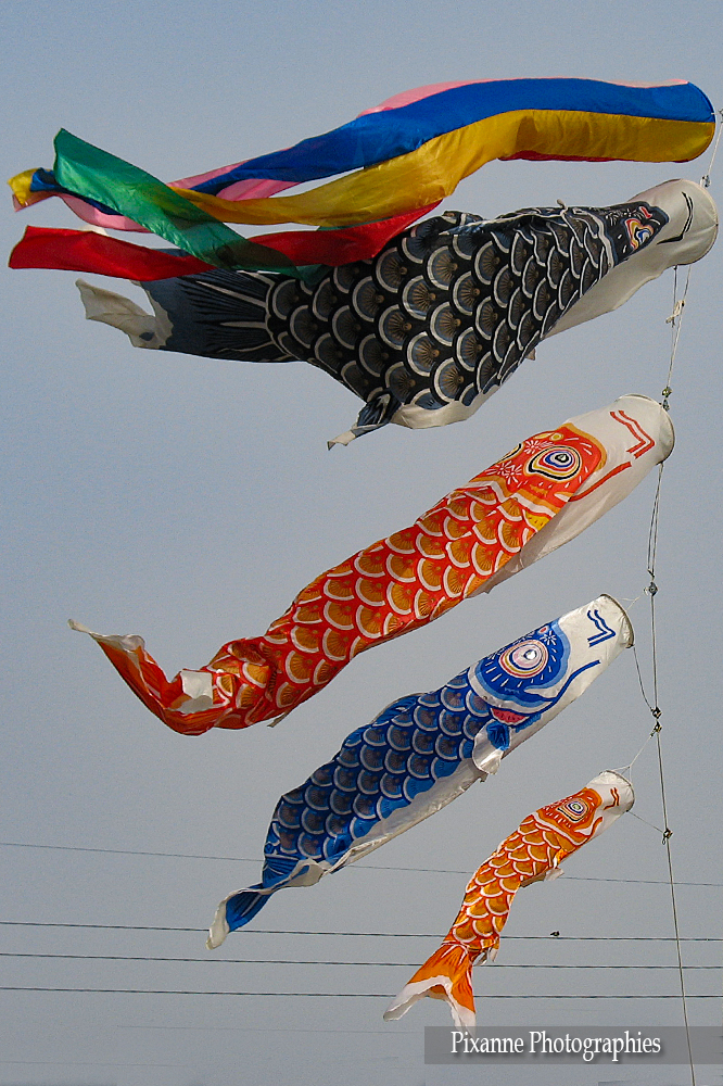 Asie, Japon, Arashiyama, Tango ne Sekku, Fête des Garçons, Souvenirs de Voyages, Pixanne Photographies