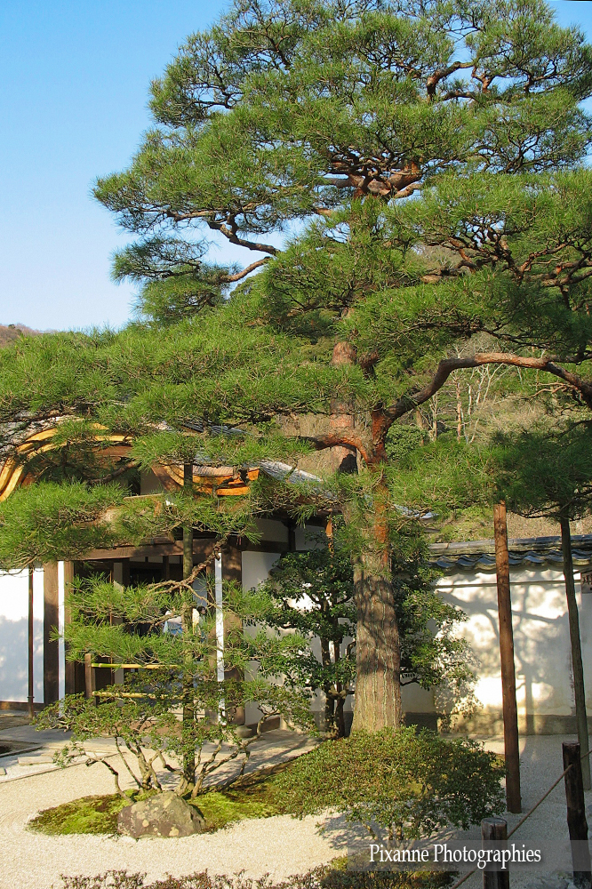 Asie, Japon, Kyoto, Ginkaku Ji, Pavillon d'Argent, Souvenirs de Voyages, Pixanne Photographies