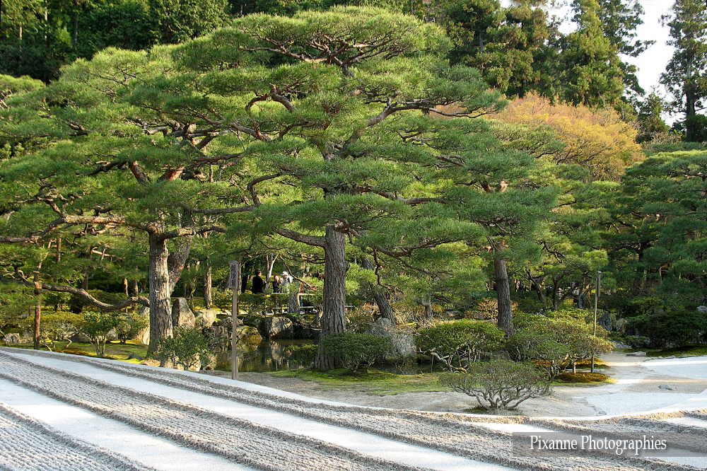 Asie, Japon, Kyoto, Ginkaku Ji, Pavillon d'Argent, Souvenirs de Voyages, Pixanne Photographies