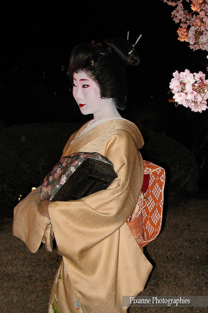 Asie, Japon, Kyoto, Nijo jo, Geisha, Souvenirs de Voyages, Pixanne Photographies
